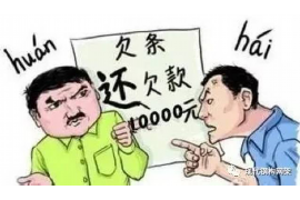 陇南企业清欠服务