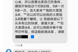 陇南贷款清欠服务